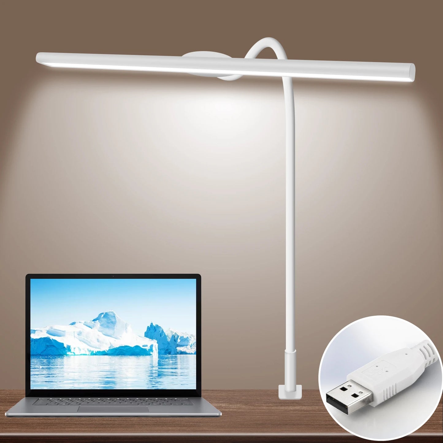 LED Desk Lamp