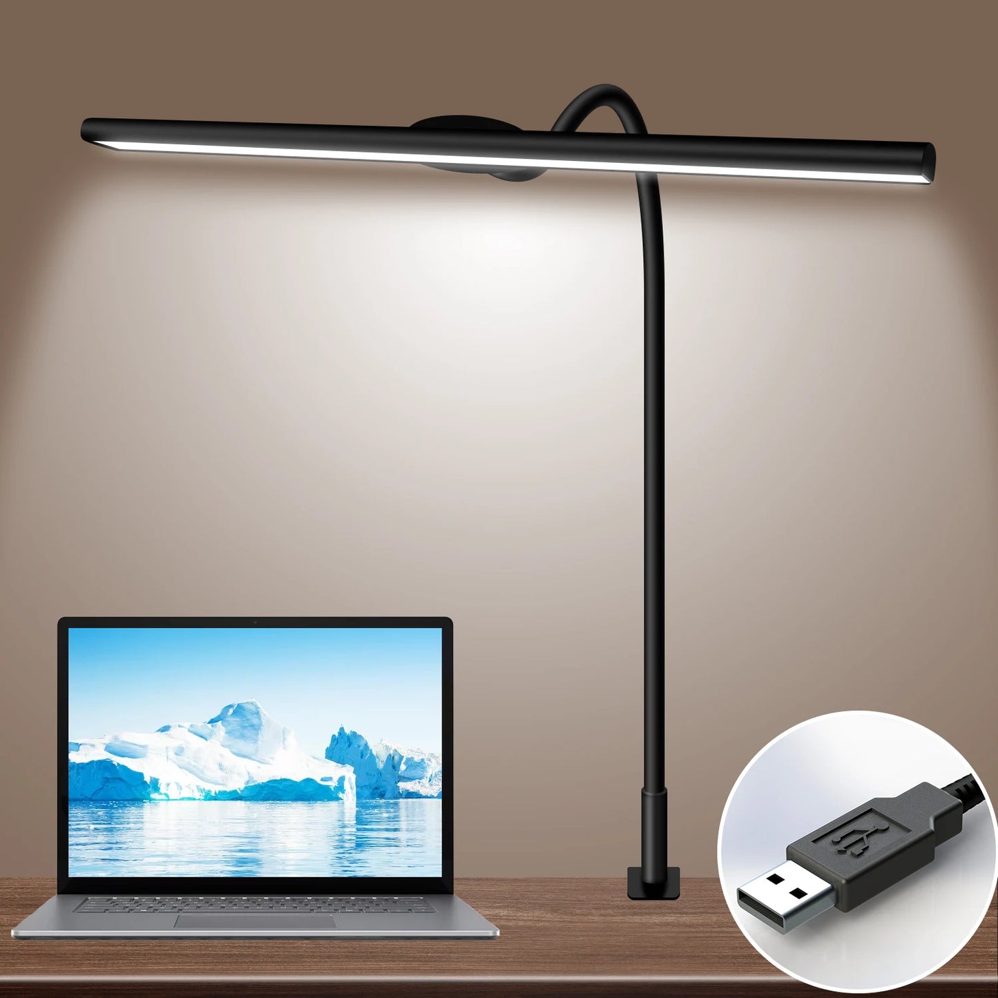 LED Desk Lamp